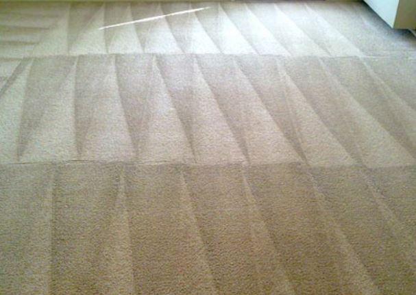 Carpert Clean with Pattern