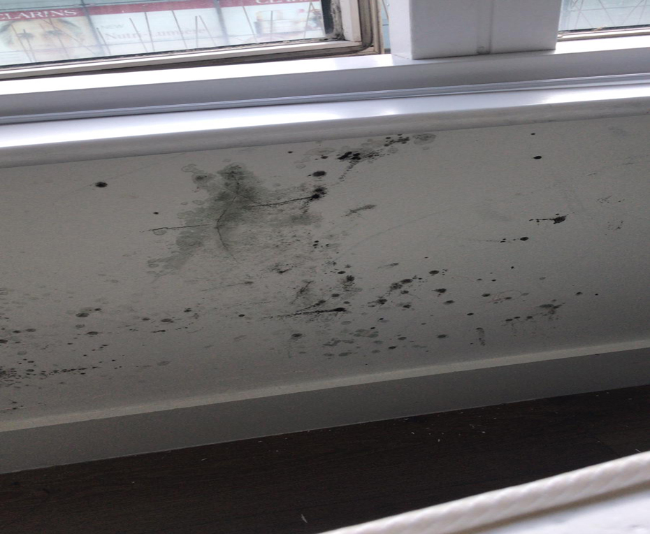 Wall With Mould On It